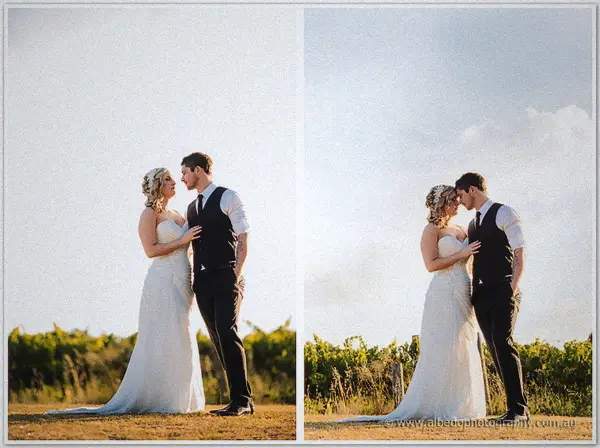 Bride and groom touch foreheads beside Carilley Estate vines in soft afternoon light, a twin frame