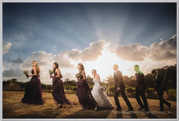 Wedding party struts in a line across a dry paddock, plum dresses and dark suits backlit by the sun