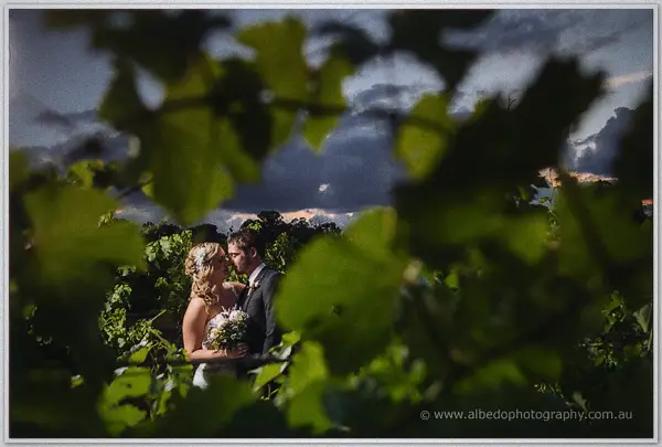 Ashley and Payden kiss framed through vine leaves against a stormy evening sky