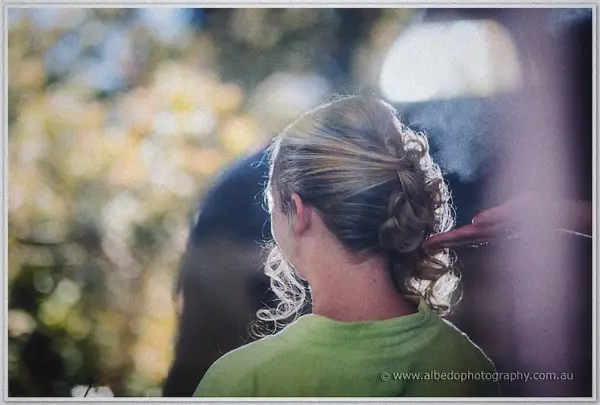 Back view of Tash's curled bridal updo as a stylist pins the last wave in garden light