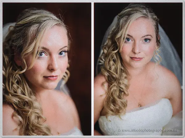 Two-frame bridal portrait of Tash in veil and strapless gown against dark timber