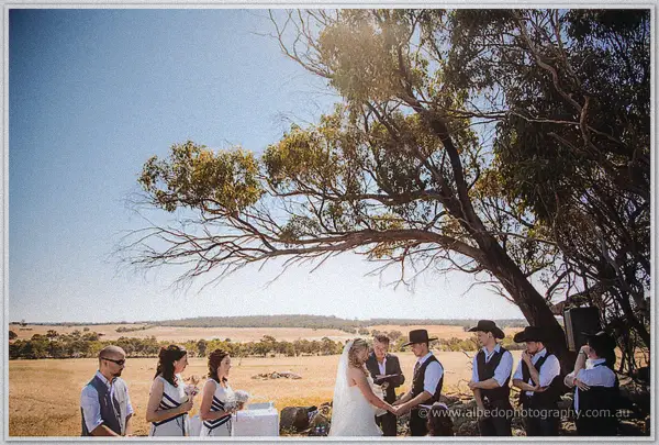 Sunlight flares through gum branches above the couple as their bridal party watches across golden farmland.
