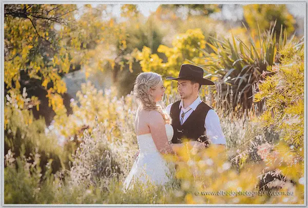 The newlyweds stand forehead to forehead among golden wattle and feathery grasses in warm garden light.