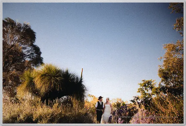 A wide evening view of the couple dwarfed by grass trees and wildflowers under a vast blue sky