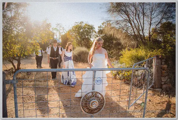 Tash leads the bridal party through a farm gate on the dusty paddock track in hazy sun