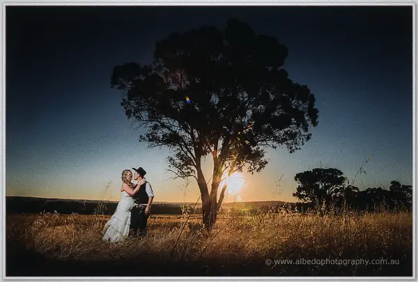 The couple embraces beneath a sprawling gum tree as the sun sinks behind it