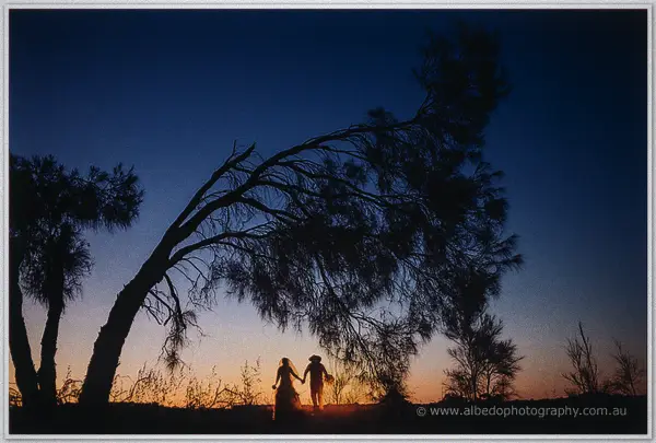 The pair stroll hand in hand under a leaning tree, silhouetted against the last daylight