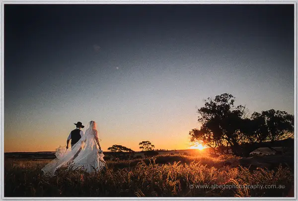 Tash and Gary walk through golden paddock grass at sunset, her veil lifting in the breeze at York