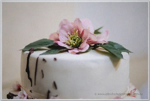 A pink hellebore bloom crowns the ivory cake, chocolate drips edging the tiers