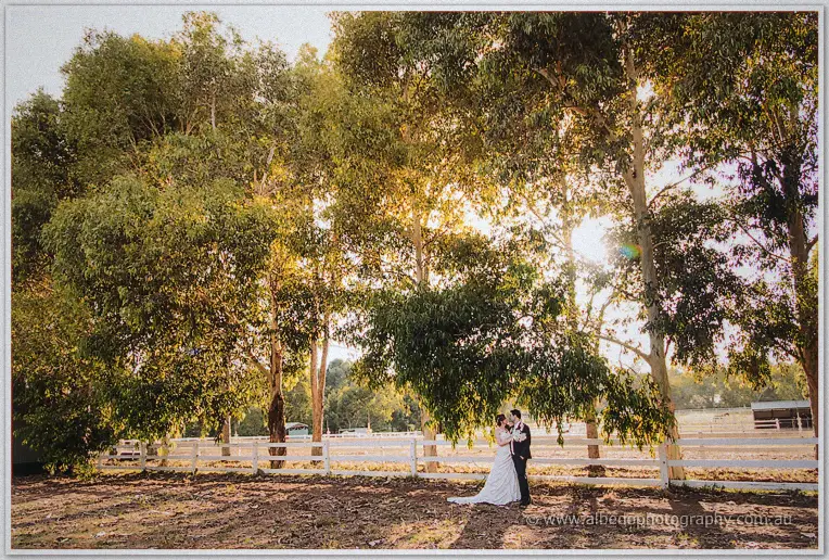 The newlyweds kiss beneath golden gums inside a white-fenced Swan Valley paddock