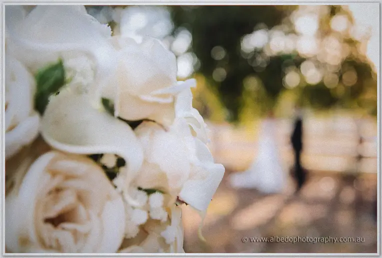 Cream roses in sharp focus, the embracing couple softly blurred across the lawn