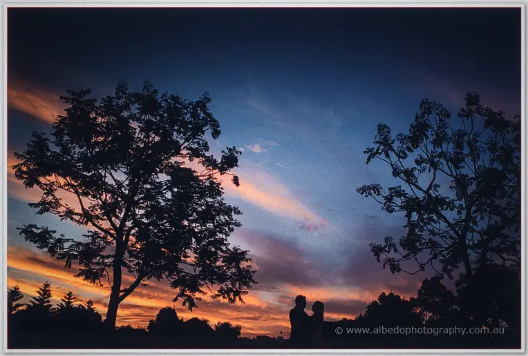 Amanda and Craig are silhouetted against a violet and orange dusk beneath the sprawling tree branches