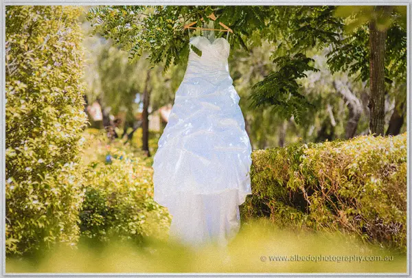 Cayla's strapless wedding dress hangs from a leafy garden branch in soft morning sunlight