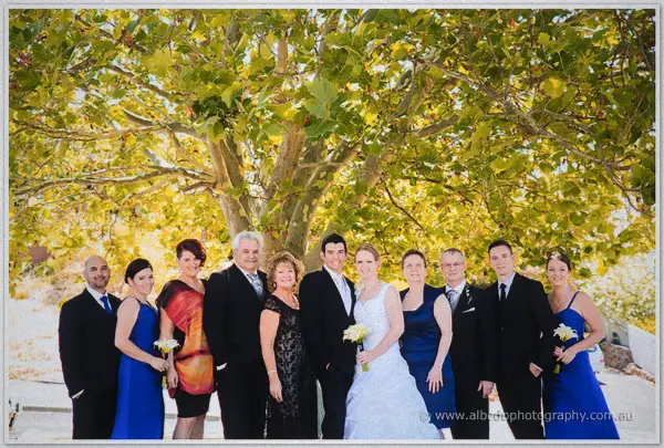Family and bridal party pose with the newlyweds beneath a big shade tree in dappled light