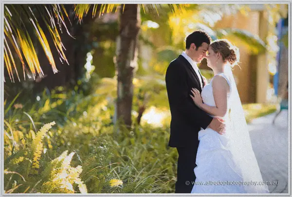 Cayla and Joe embrace beneath palms, her veil drifting in the evening glow