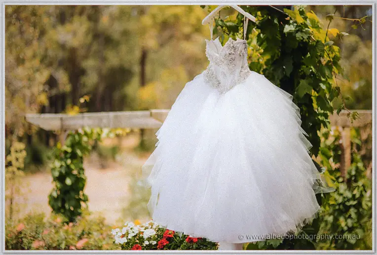 The beaded tulle wedding gown hangs from a timber pergola among grapevines and garden blooms