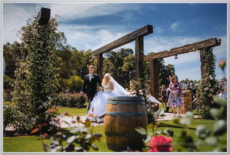 Steph and Luke walk back down the aisle past wine barrels and rose bushes under timber arches.