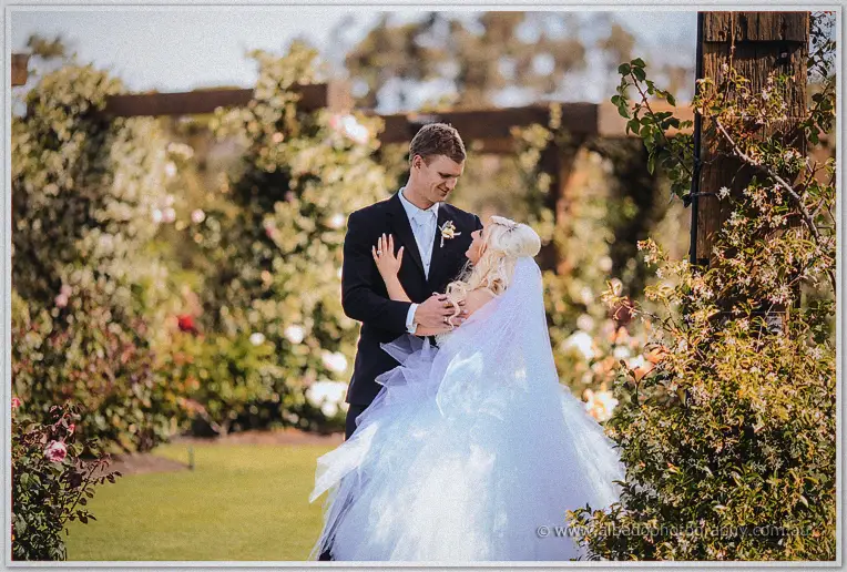 Steph adjusts Luke's boutonniere as they smile among the climbing roses on the pergola.