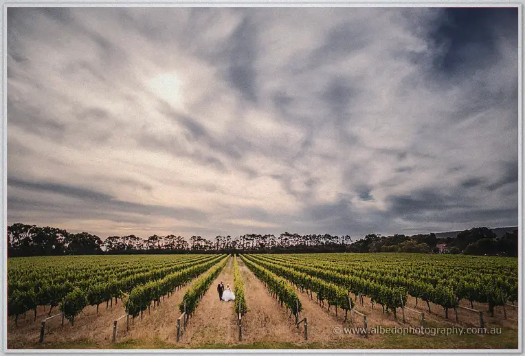Steph and Luke walking hand in hand between vineyard rows under a dramatic sky at Margaret River