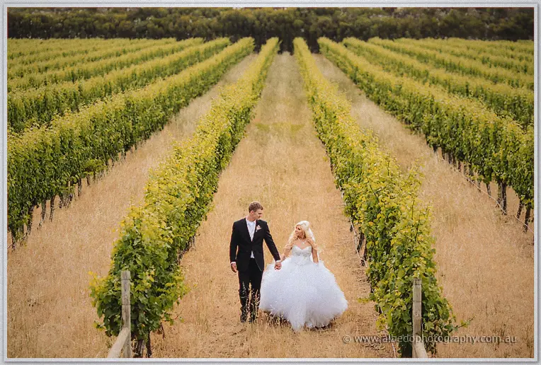 Steph and Luke stroll hand in hand down the golden corridor between rows of vines.