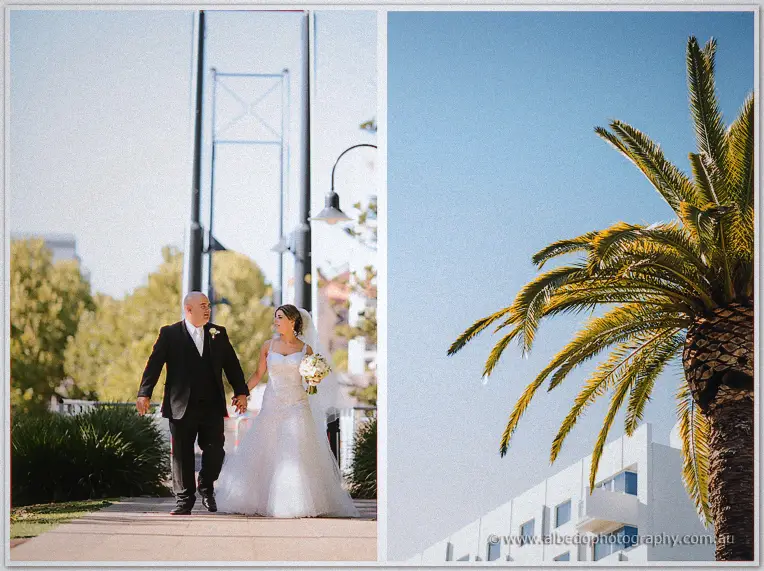 Elena and James stroll hand in hand along a sunny foreshore path beside a tall palm tree