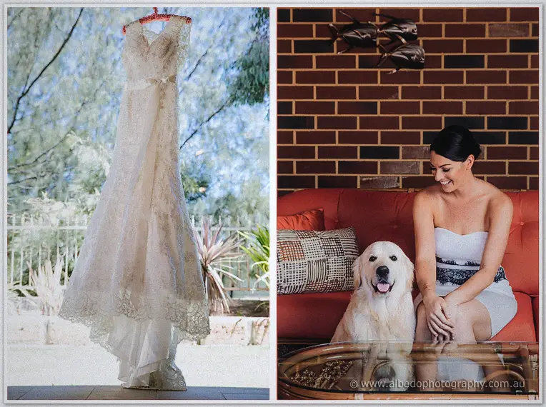 Pair of Stacey's lace gown hanging in the sun and her retriever sitting proud beside her on the couch
