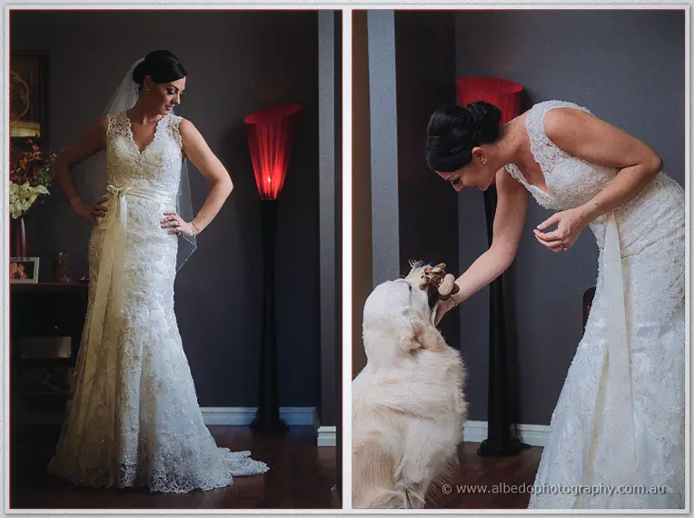 Veiled Stacey posing hands on hips, then treating her seated retriever beside the glowing red lamp