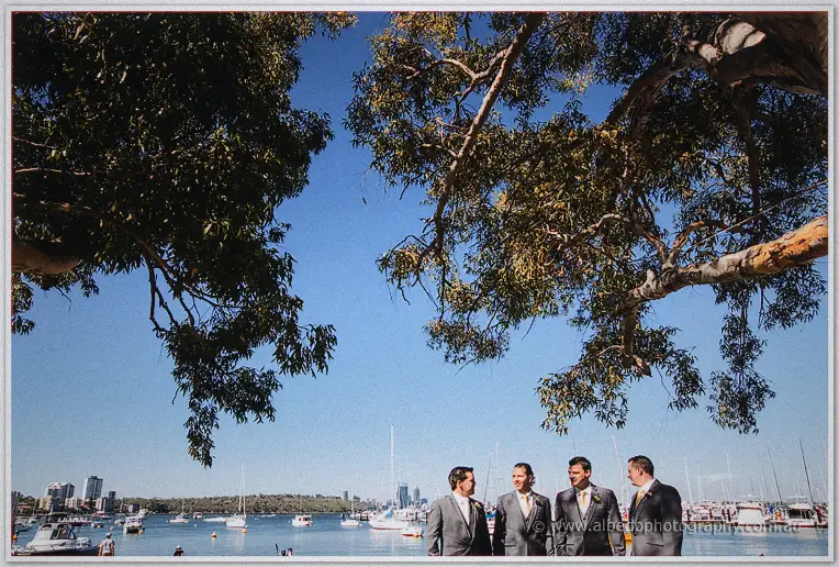 Nathain and his groomsmen in grey suits with yellow ties smile beneath riverside gums at Matilda Bay.