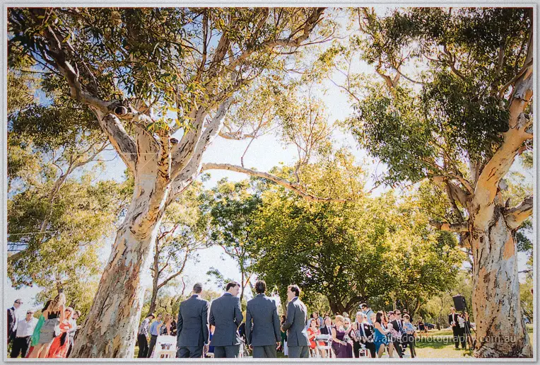 Seen from behind, the groomsmen face guests beneath sunlit eucalypts at the Matilda Bay ceremony.