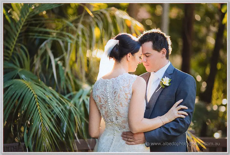 Seen from behind, Stacey's buttoned lace back meets Nathain's embrace amid glowing fronds.