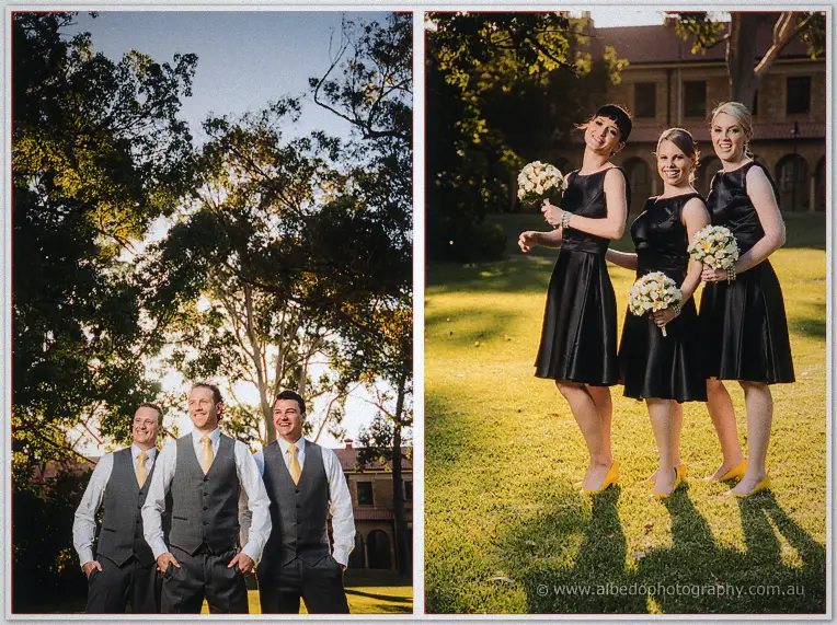 Split frames show the groomsmen under tall gums and bridesmaids laughing on the sunlit lawn.