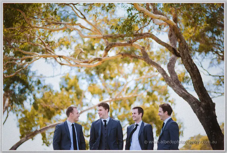 The four men in charcoal suits chat beneath sprawling gum branches on a bright park morning