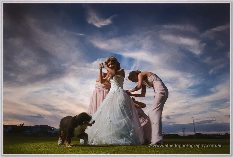 Bridesmaids in blush dresses adjust Cristina's gown on the lawn as a Bernese mountain dog sniffs the train