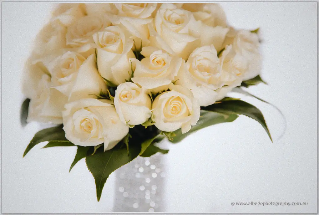 A round bouquet of ivory roses with a pearl-dotted wrap, shot close against white
