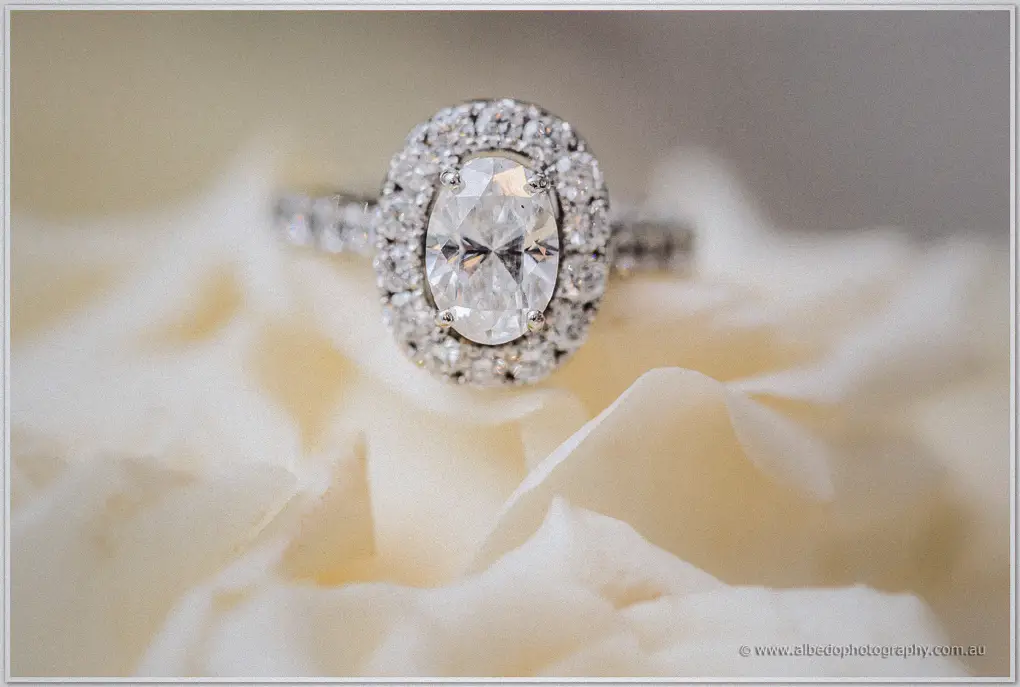 An oval-cut halo diamond ring sparkles in soft light among cream rose petals