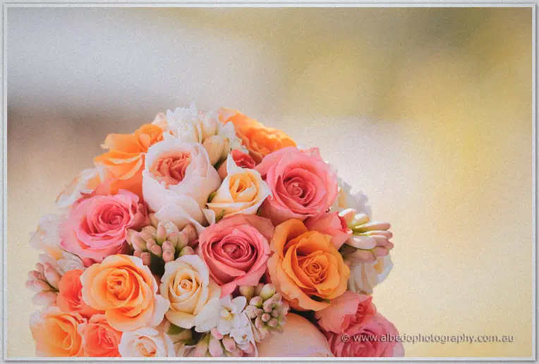 Sunlit peach and coral roses crowd Katelyn's lush bridal bouquet