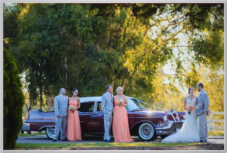 Wedding party lined along the maroon Cadillac under sprawling trees, couple sharing a look at right