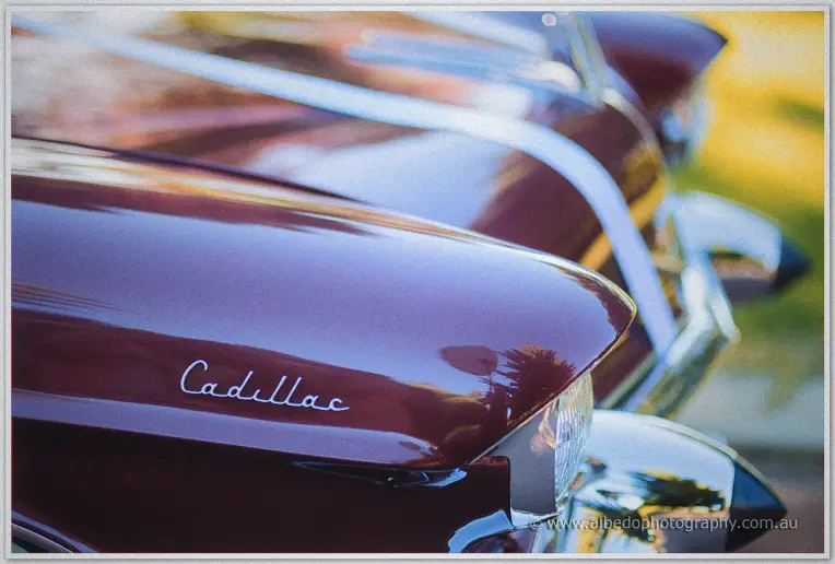 Close-up of the gleaming maroon Cadillac's fender badge and chrome grille catching soft garden reflections
