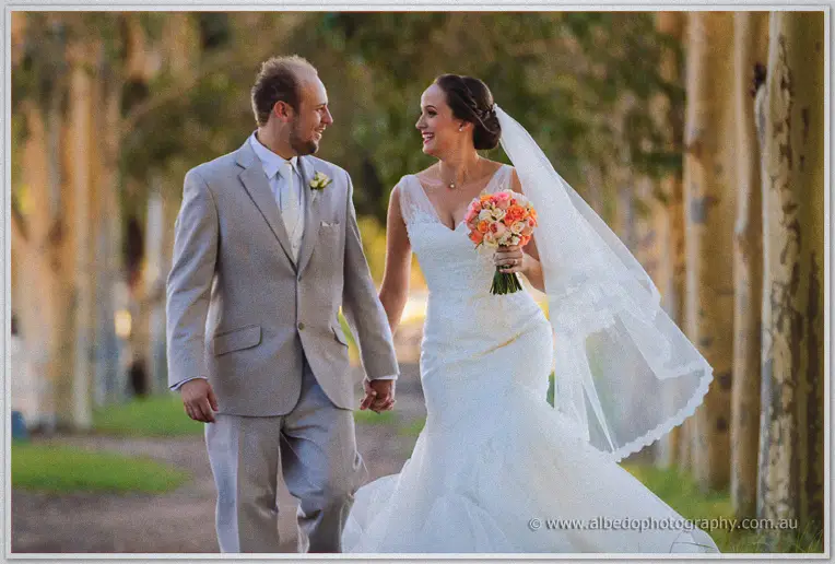 Katelyn and Matt strolling hand in hand down the sun-dappled gum avenue, her veil trailing behind