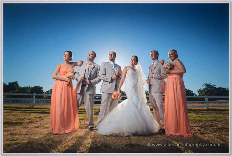 Full bridal party lined up in the golden paddock, coral gowns flanking Katelyn's white gown