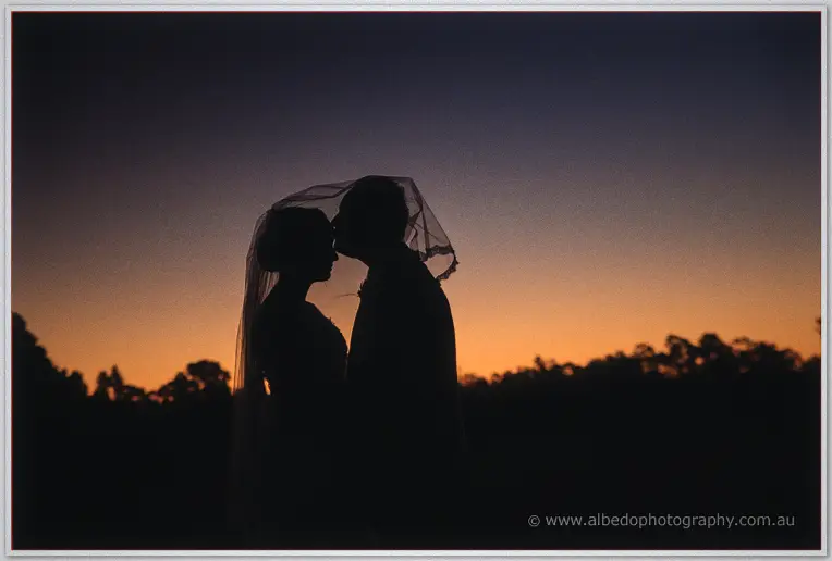 Silhouetted beneath her veil, Katelyn and Matt share a kiss at sunset, treetops black behind them