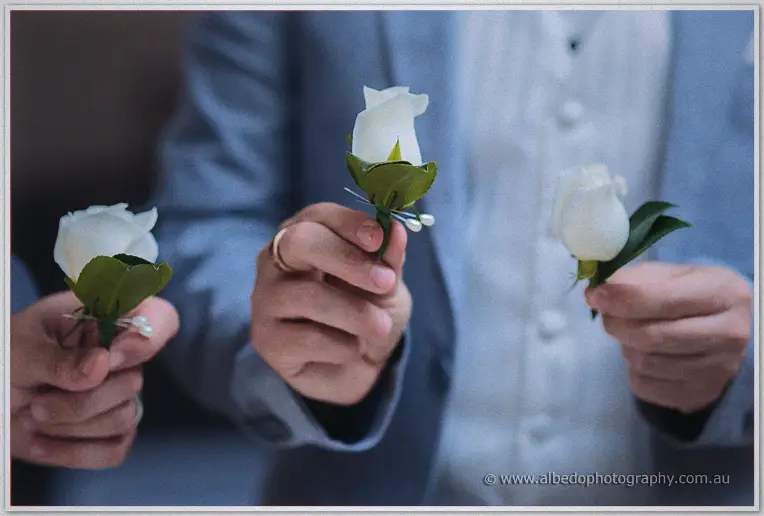 Three white rose buttonholes held ready, one already pinned to a light blue suit.
