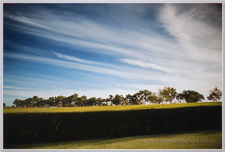 Streaky cirrus clouds drifting over the manicured lawns and tree line of the winery estate