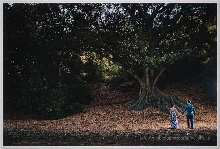 Loan and Alex hold hands in a leaf-strewn clearing before a huge sprawling fig tree