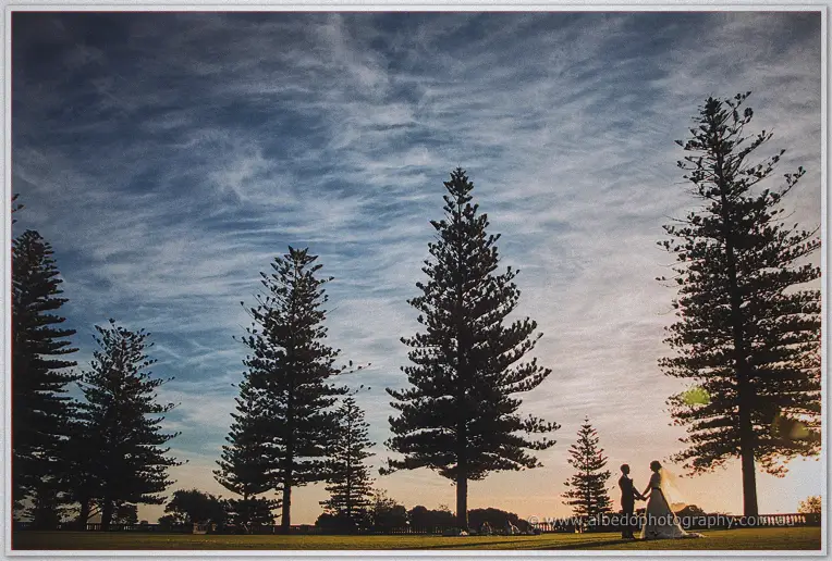 The couple stand small beneath towering Cottesloe pines, silhouetted against a vast streaked sky