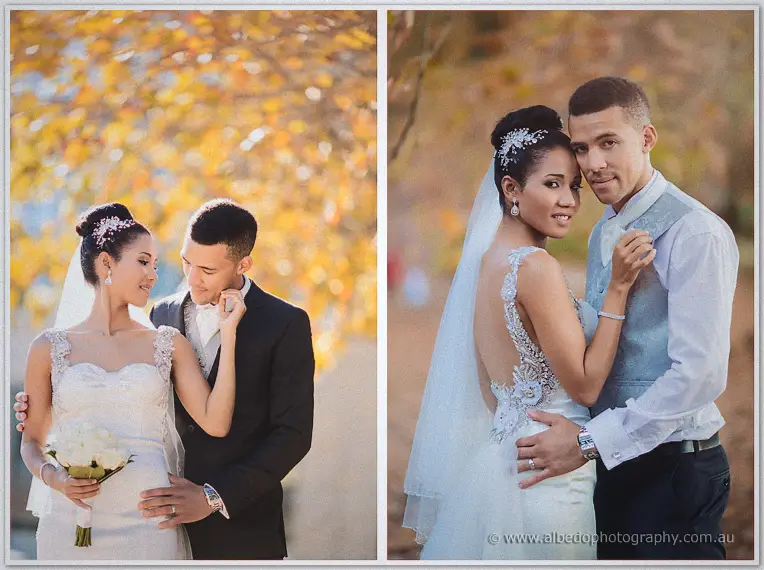 Diptych portrait of Cristal and Troy embracing beneath autumn leaves, her lace-backed gown catching the sun.