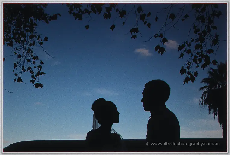 Cristal and Troy face each other in silhouette beneath dark branches against a fading blue dusk.