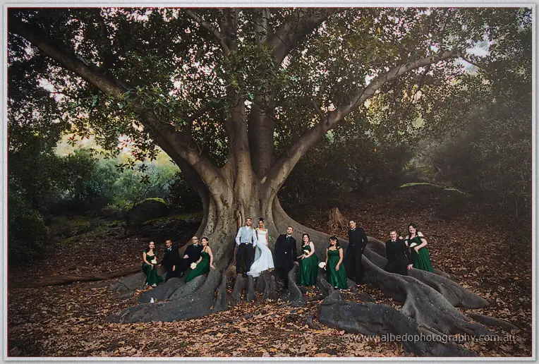 Cristal and Troy pose with their wedding party across the sprawling roots of a giant fig tree.
