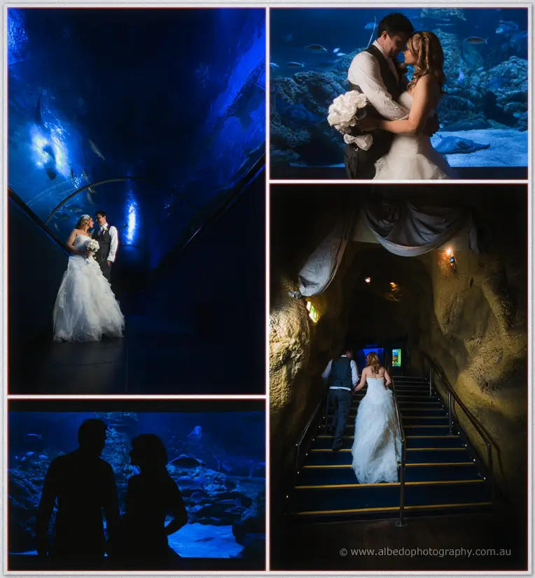 Hillarys wedding