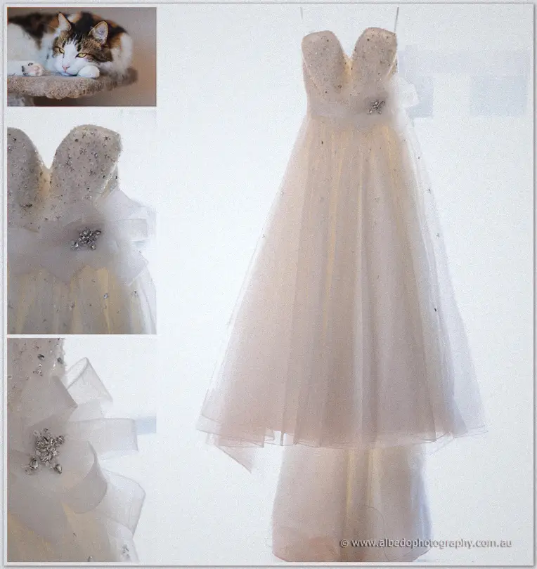 Sarah's beaded tulle wedding dress glows in soft window light beside an inset of her sleeping cat.